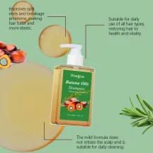 Hoegoa Batana Oils Shampoo