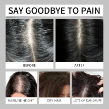 Hoegoa Rice Water Shampoo